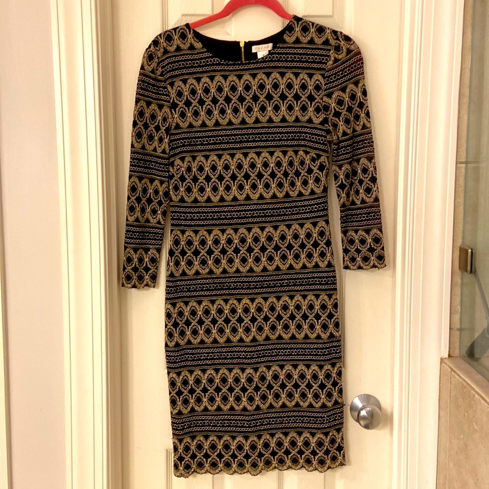Cache embroidered dress